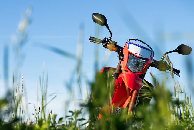 Motorcykelbud og økonomi i praksis